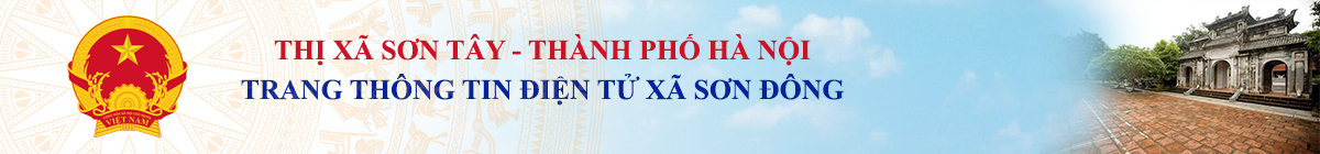 Trang Thông Tin Điện Tử Xã Sơn Đông